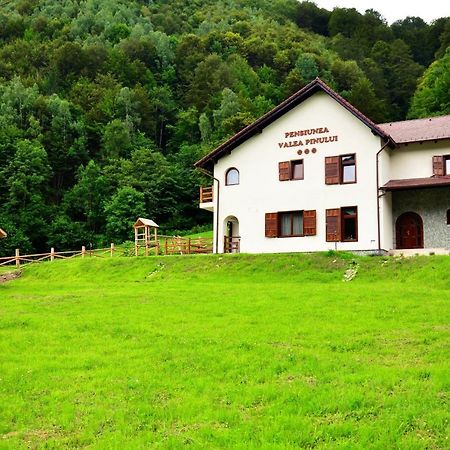 Pensiunea Valea Pinului Rau Sadului Exterior photo