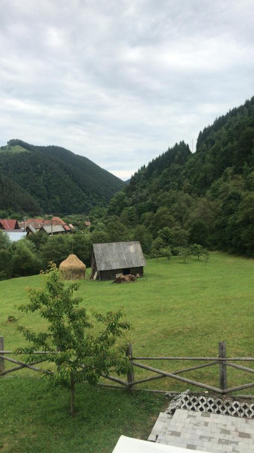 Pensiunea Valea Pinului Rau Sadului Exterior photo