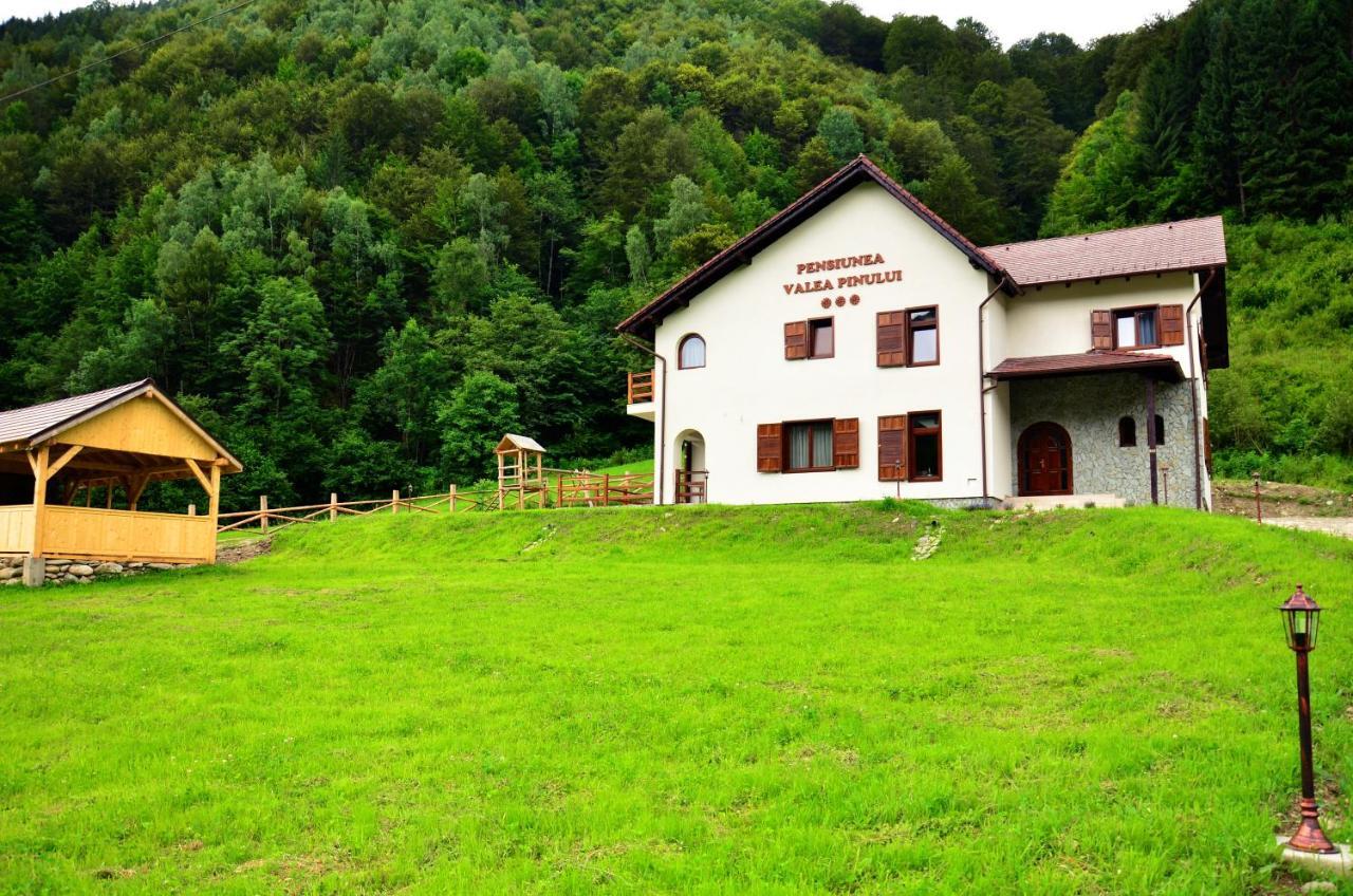 Pensiunea Valea Pinului Rau Sadului Exterior photo