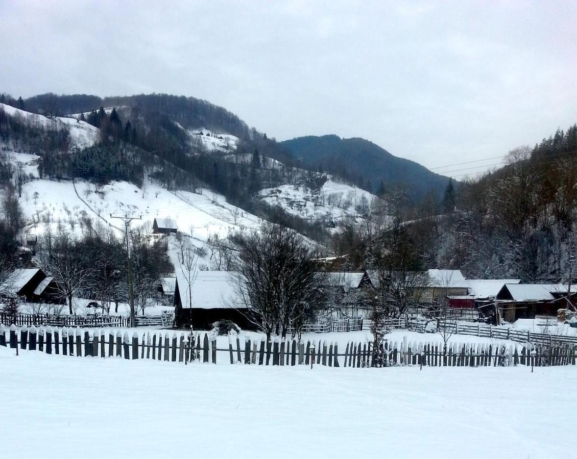 Pensiunea Valea Pinului Rau Sadului Exterior photo